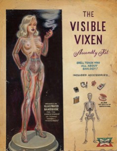 Women of the Eye Invisible Vixen