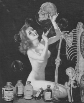 Science of Sex - Skeleton and Pinup Girl